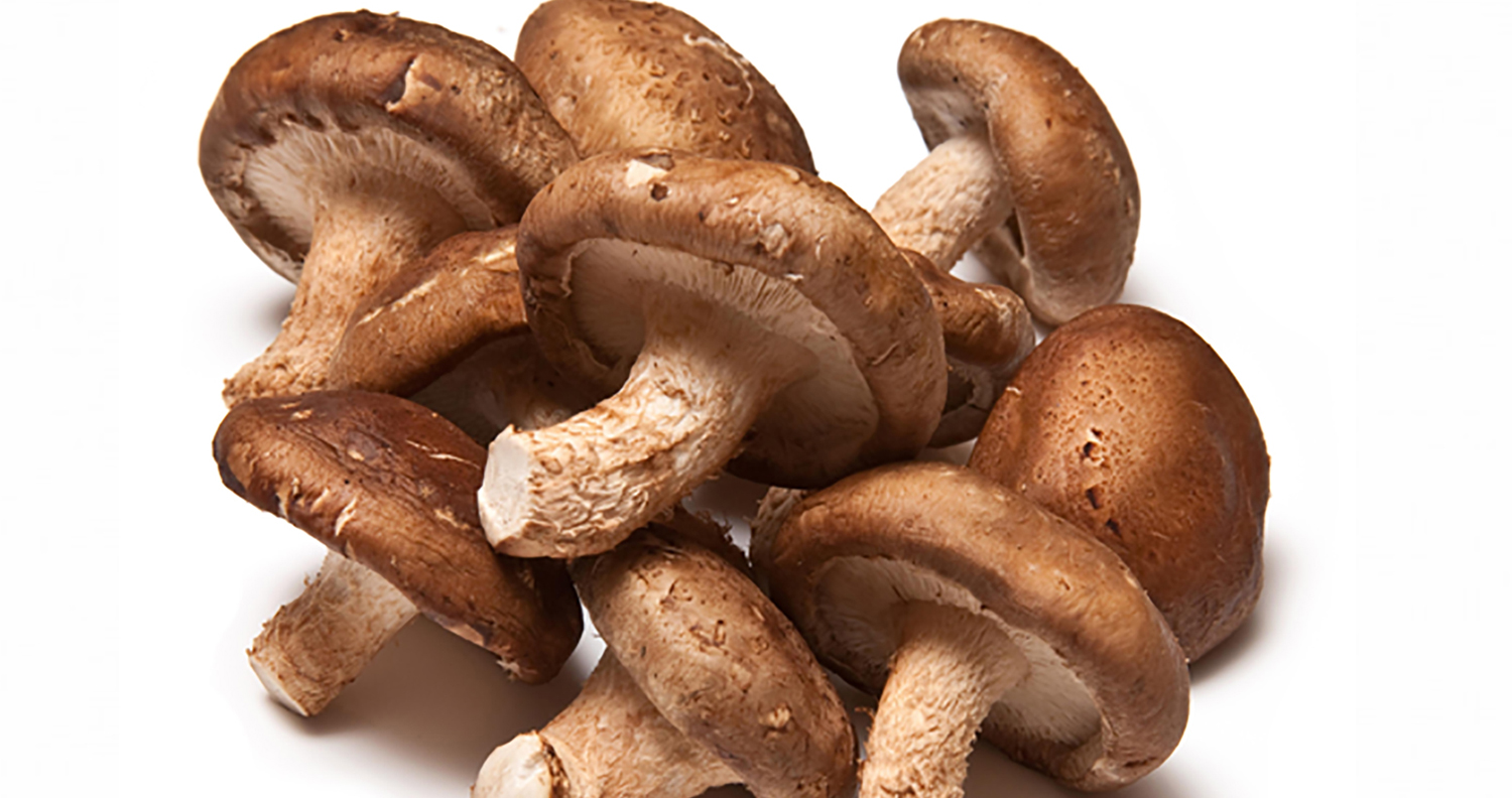 ¿Conoces el hongo Shiitake?